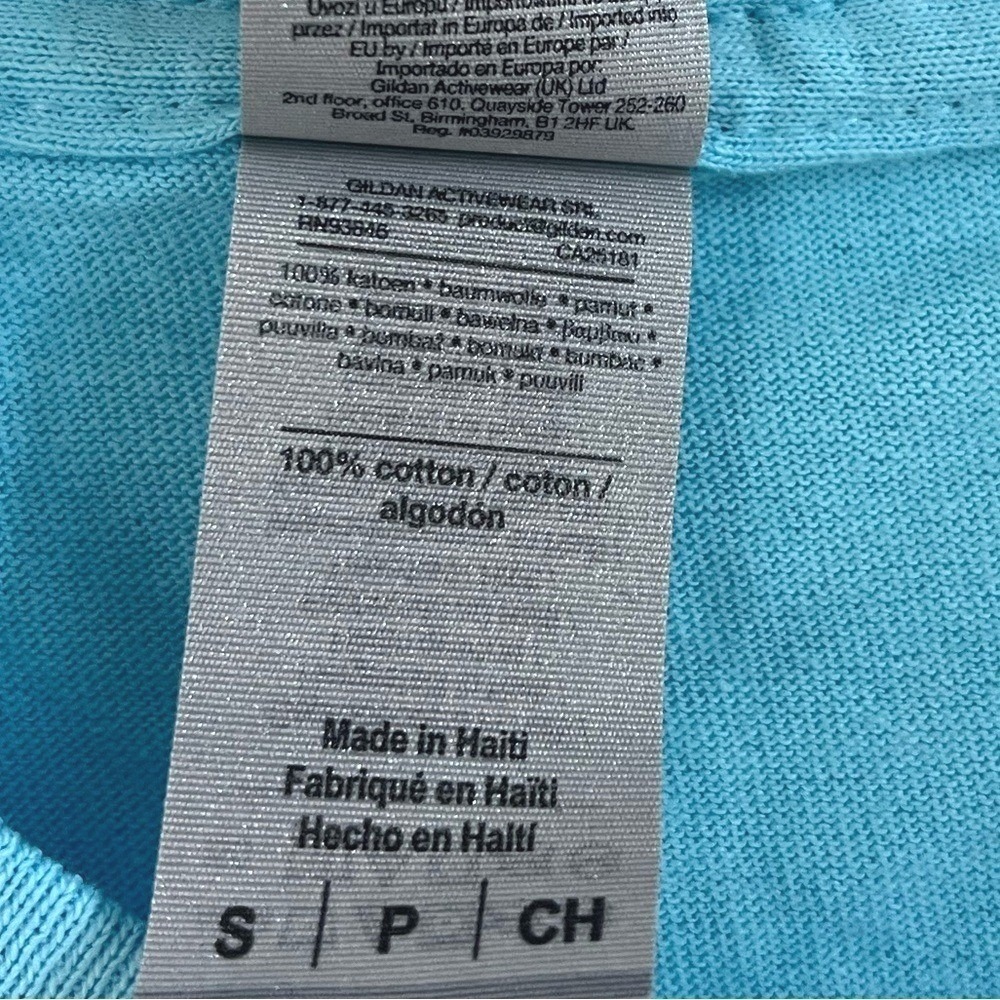 Gildan Fiesta San Antonio 2022 Graphic T Shirt Mens Small Blue Heavy Cotton Tee - Picture 6 of 9